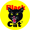 BlackCat Logo